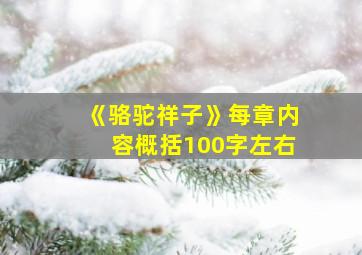 《骆驼祥子》每章内容概括100字左右