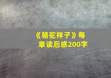 《骆驼祥子》每章读后感200字