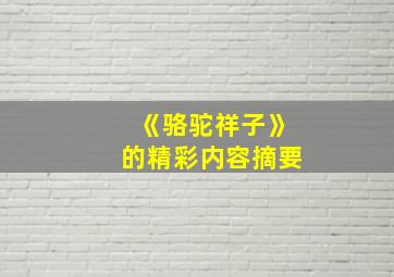 《骆驼祥子》的精彩内容摘要