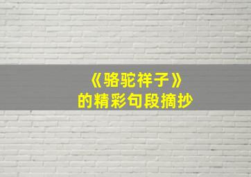 《骆驼祥子》的精彩句段摘抄