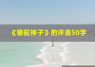 《骆驼祥子》的评语50字