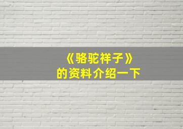 《骆驼祥子》的资料介绍一下