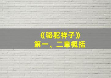 《骆驼祥子》第一、二章概括