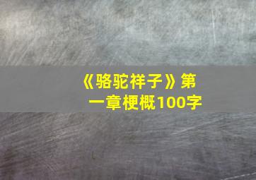 《骆驼祥子》第一章梗概100字