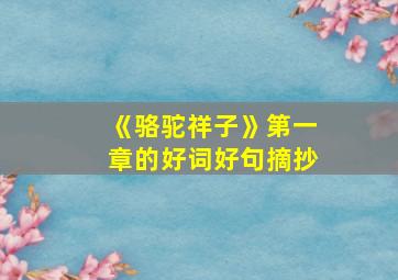 《骆驼祥子》第一章的好词好句摘抄