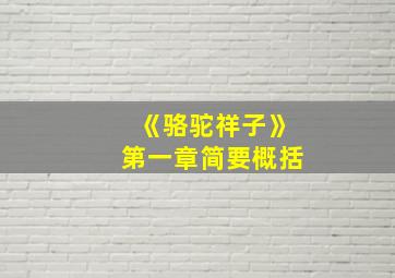 《骆驼祥子》第一章简要概括