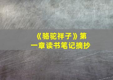 《骆驼祥子》第一章读书笔记摘抄