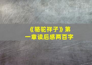 《骆驼祥子》第一章读后感两百字