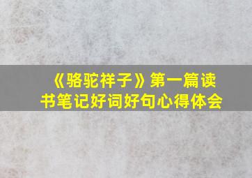 《骆驼祥子》第一篇读书笔记好词好句心得体会