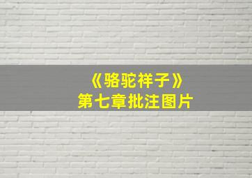 《骆驼祥子》第七章批注图片