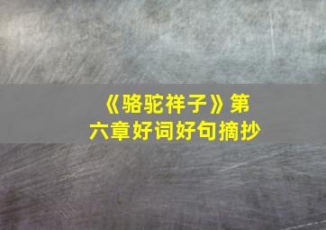 《骆驼祥子》第六章好词好句摘抄