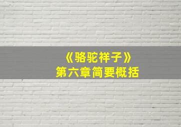 《骆驼祥子》第六章简要概括