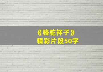 《骆驼祥子》精彩片段50字