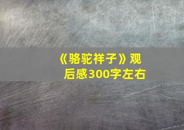 《骆驼祥子》观后感300字左右