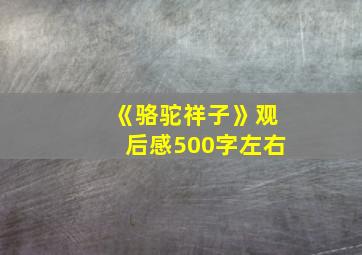 《骆驼祥子》观后感500字左右