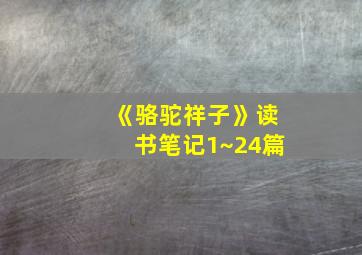 《骆驼祥子》读书笔记1~24篇