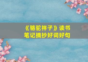 《骆驼祥子》读书笔记摘抄好词好句