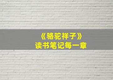 《骆驼祥子》读书笔记每一章