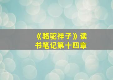 《骆驼祥子》读书笔记第十四章