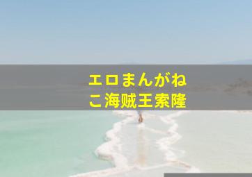 エロまんがねこ海贼王索隆