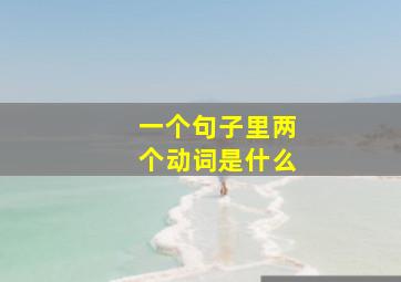 一个句子里两个动词是什么