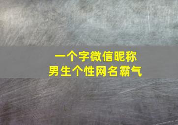 一个字微信昵称男生个性网名霸气