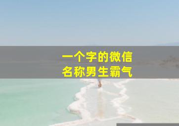 一个字的微信名称男生霸气