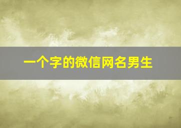 一个字的微信网名男生