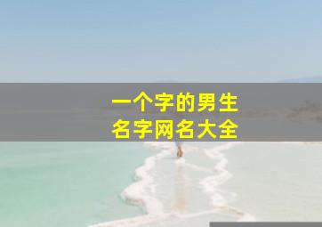 一个字的男生名字网名大全