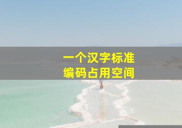 一个汉字标准编码占用空间