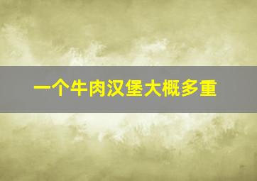 一个牛肉汉堡大概多重