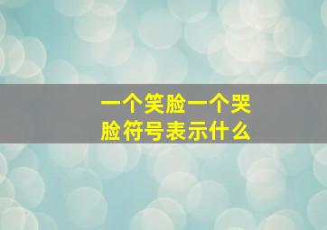 一个笑脸一个哭脸符号表示什么