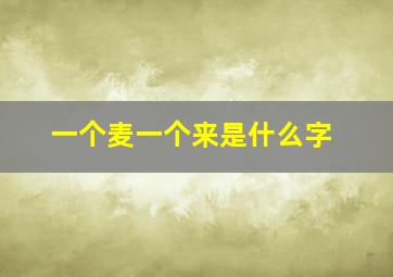 一个麦一个来是什么字