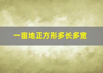 一亩地正方形多长多宽