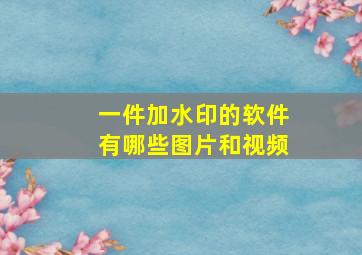 一件加水印的软件有哪些图片和视频