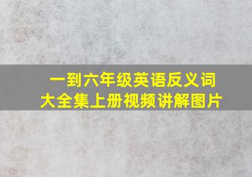 一到六年级英语反义词大全集上册视频讲解图片