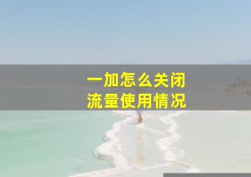 一加怎么关闭流量使用情况