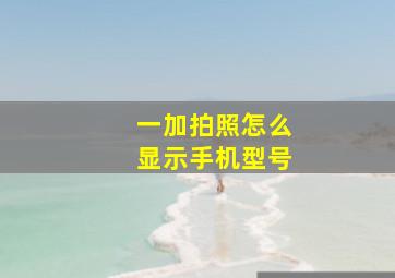 一加拍照怎么显示手机型号