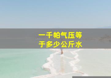 一千帕气压等于多少公斤水