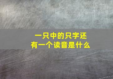 一只中的只字还有一个读音是什么