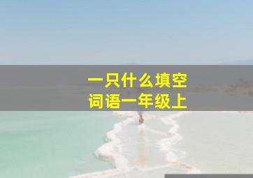 一只什么填空词语一年级上