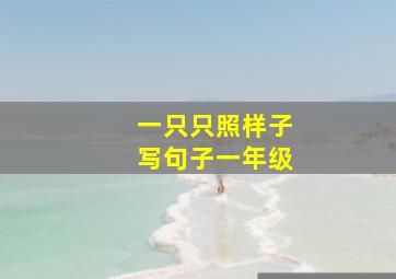 一只只照样子写句子一年级