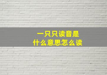 一只只读音是什么意思怎么读