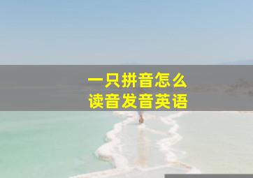 一只拼音怎么读音发音英语