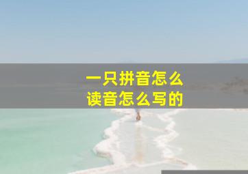 一只拼音怎么读音怎么写的