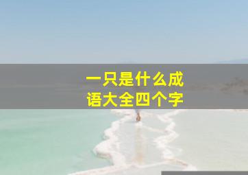 一只是什么成语大全四个字