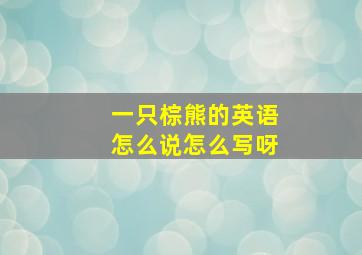 一只棕熊的英语怎么说怎么写呀