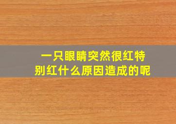 一只眼睛突然很红特别红什么原因造成的呢