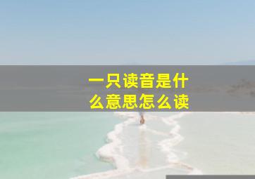 一只读音是什么意思怎么读