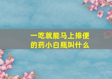 一吃就能马上排便的药小白瓶叫什么